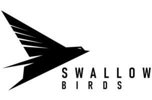 swallow birds design logo vector