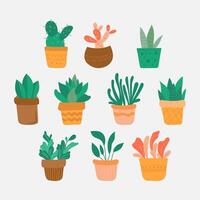 house plant flower in pots vector
