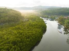 Aerial drone view of beautiful canal with trees jungle of Gulf of Thailand. Kood island, Thailand photo