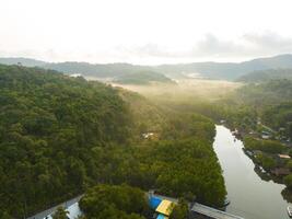 Aerial drone view of beautiful canal with trees jungle of Gulf of Thailand. Kood island, Thailand photo