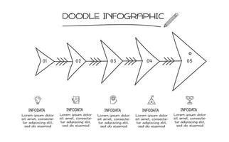 Doodle infographic elements with 5 options. business template for presentation vector