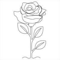 Continuous beautiful roses drawing single line art illustration vector