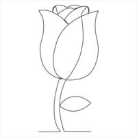 Continuous beautiful roses drawing single line art illustration vector