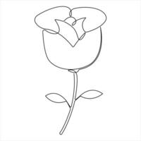 Continuous beautiful roses drawing single line art illustration vector
