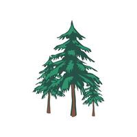 Forest is pine. vector