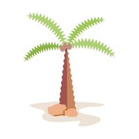 Palm tree with nuts vector