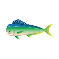 Fish on a white background. vector