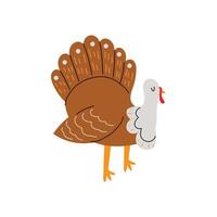 Cute turkey. Turkey in the hand drawn style. Domestic bird. Farm animal. White isolated background. vector