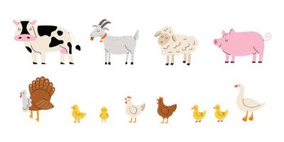 set of farm animals. Goose, chicken, turkey, pig, cow, goat, sheep. White isolated background. vector