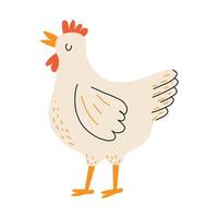 Cute chicken. Hen in the hand drawn style. Domestic bird. Farm animal. White isolated background. vector