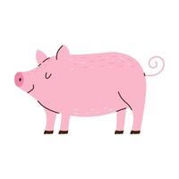 Cute pig. Piglet in Hand drawn style. Farm animal. White isolated background. vector