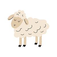 linda oveja. oveja en el mano dibujado estilo. granja animal. blanco aislado antecedentes. vector