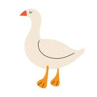 WebCute goose. Goose in the hand drawn style. Domestic bird. Farm animal. White isolated background. vector