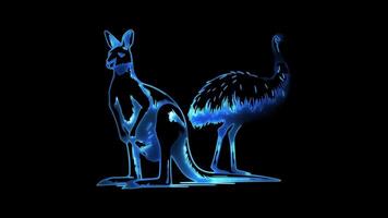 neon telaio effetto, canguro e un emu iconico australiano animali, incandescenza, nero sfondo. video