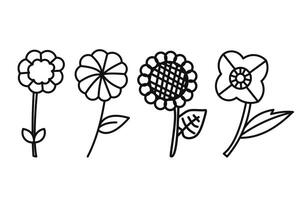 Hand Drawn Collection of Various Flower Illustrations vector