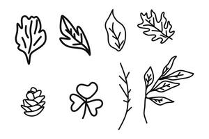 Set Of Hand-Drawn Doodle Leaves Illustration vector