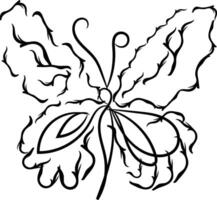 beautiful butterfly outline illustration vector