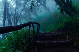 un camino mediante el selva con un de madera barandilla foto