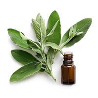 Sage essential oil with sage herbs photo