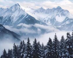 Beautiful shot of mountains and trees covered in snow and fog photo