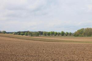 early spring field photo