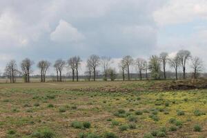 early spring field photo