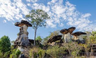 Sao Chaliang is mushroom-like rocks that have been eroded by water and wind for millions of years, Thailand photo