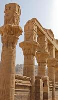 Columns of Hathor head goddess in Philae temple, Egypt photo