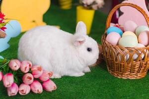 blanco Conejo en Pascua de Resurrección paisaje de cerca con selectivo atención foto