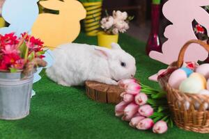 The Easter bunny is lying on a tree stump in horizontal orientation with selective focus photo