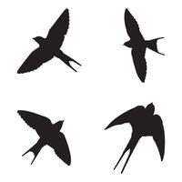 Swallow logo design vector