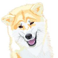 sketch dog Akita Inu Japanese breed smiles vector