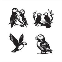 Atlantic Puffin silhouette icon graphic logo design vector