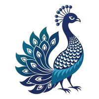 peacock stands with beautiful feathers, isolated white background vector