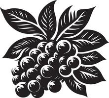 jambolan fruta, negro color silueta vector