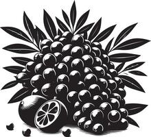 jambolan fruta, negro color silueta vector