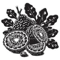 kaffir Lima fruta, negro color silueta vector