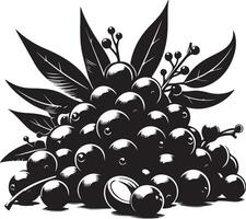 jambolan fruta, negro color silueta vector