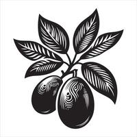 indio ciruela pasa fruta, negro color silueta vector