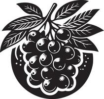 jambolan fruta, negro color silueta vector