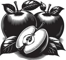 miel crujiente manzanas fruta, negro color silueta vector