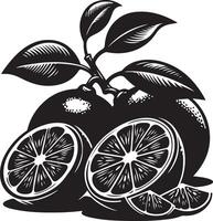 indonesio Lima fruta, negro color silueta vector