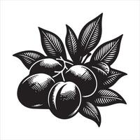 indio ciruela pasa fruta, negro color silueta vector