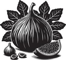 indio higo fruta, negro color silueta vector