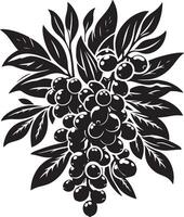 jambolan fruta, negro color silueta vector