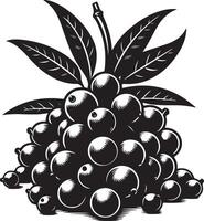 jambolan fruta, negro color silueta vector