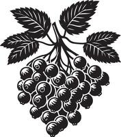 Hackberry fruit, black color silhouette vector