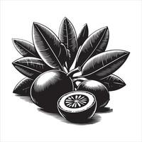 indio ciruela pasa fruta, negro color silueta vector