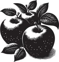 miel crujiente manzanas fruta, negro color silueta vector