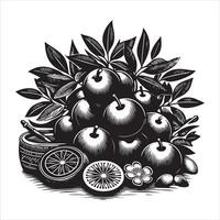 indio ciruela pasa fruta, negro color silueta vector